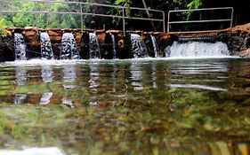 Thermas Goiás - Paradise